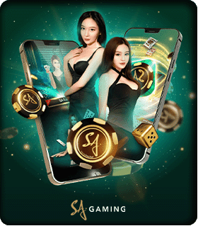 ทดลองเกมส์  Tiger Kingdom